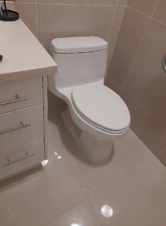 Leaking toilet Leaking toilet