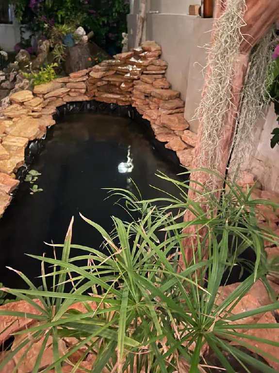 Pond Pond