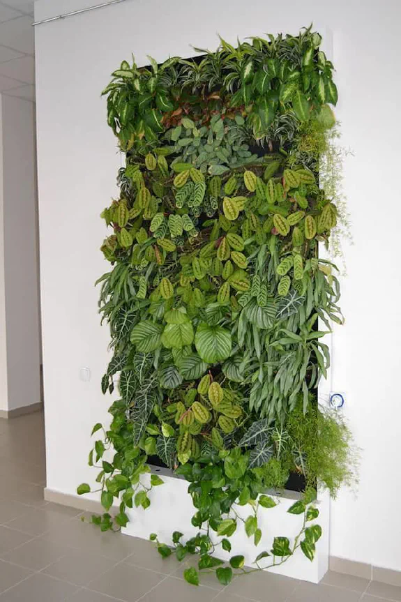 Vertical gardening Vertical gardening